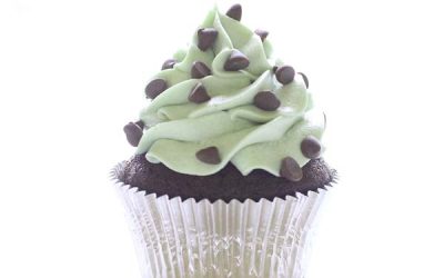 Mint Chocolate Chip