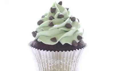 Mint Chocolate Chip